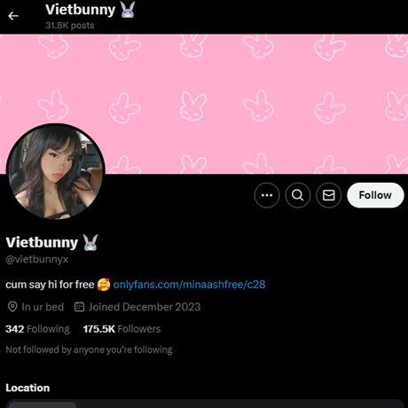 VietBunny
