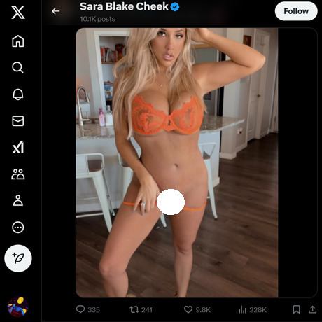 Sara Blake Cheek