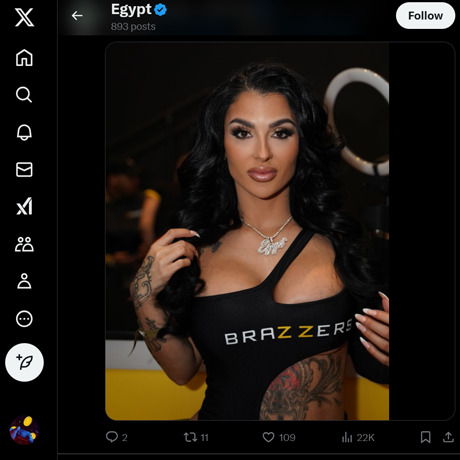TheOfficialEgypt