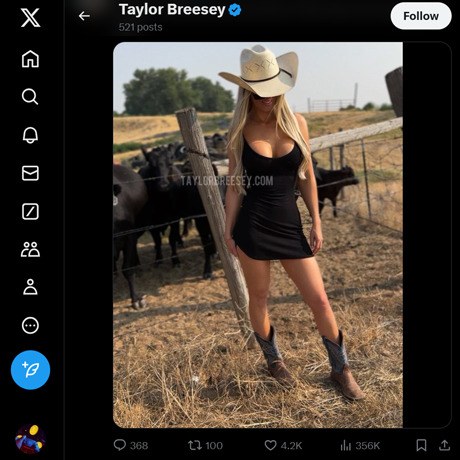 Taylor Breesey