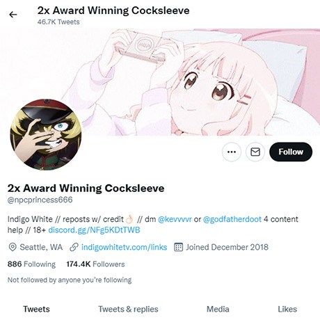 Indigo White Twitter