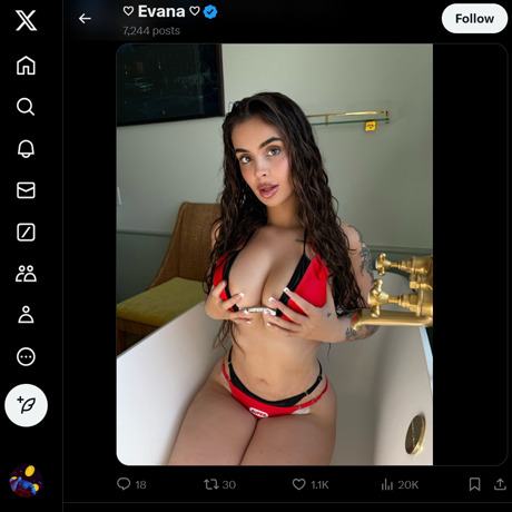 Evanita