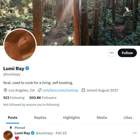 Lumi Ray Twitter