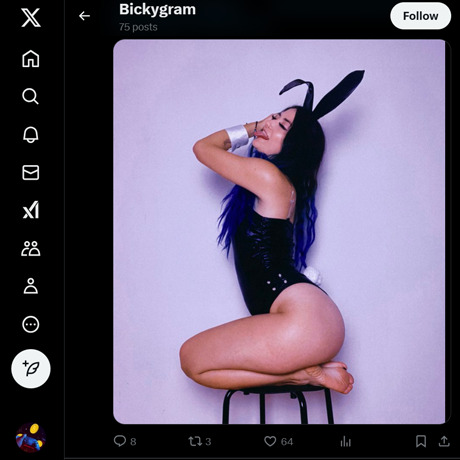 BickyGram