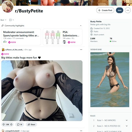 Reddit Busty Petite
