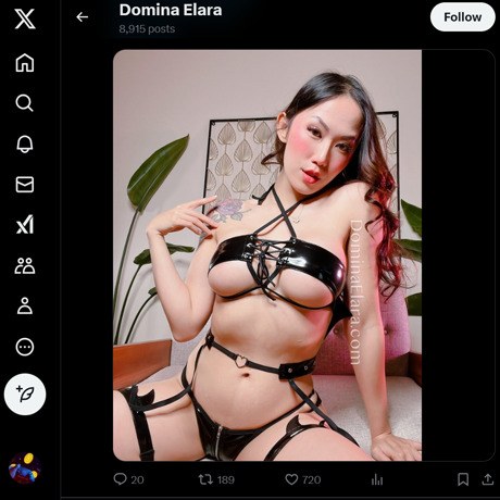 Domina Elara
