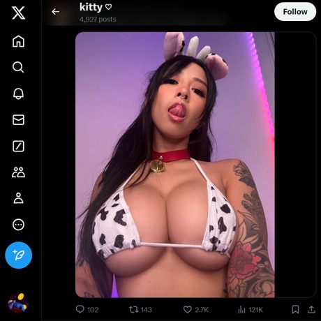Spo0pyKitten