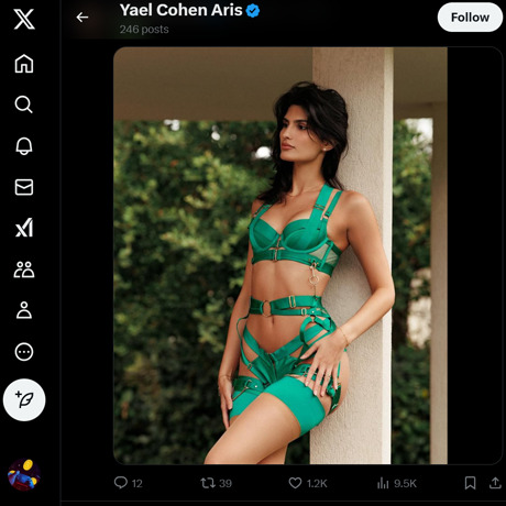 Yael Cohen Aris