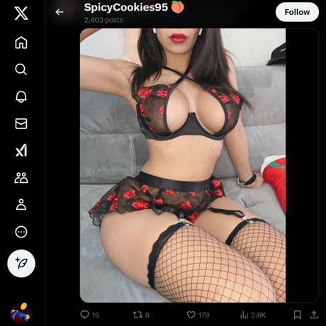 SpicyCookies95
