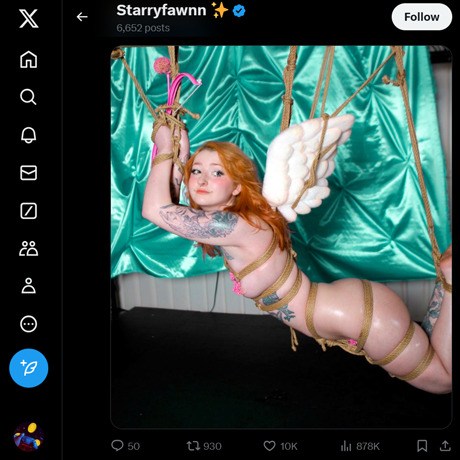 StarryFawnn