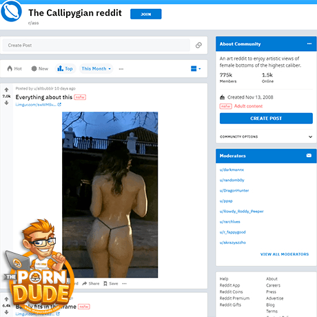 Reddit Ass
