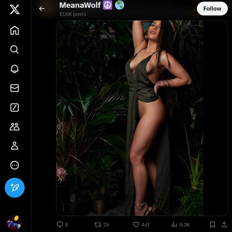 Meana Wolf