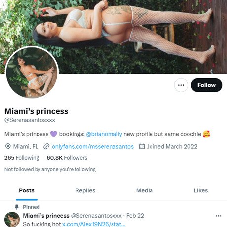 Serena Santos Twitter