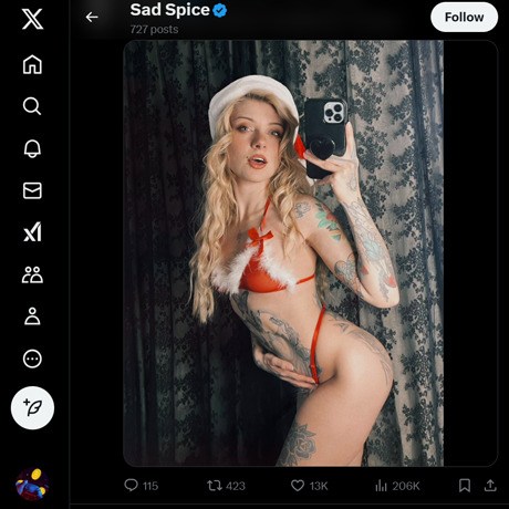 ImSadSpice