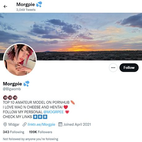 Morgpie Twitter
