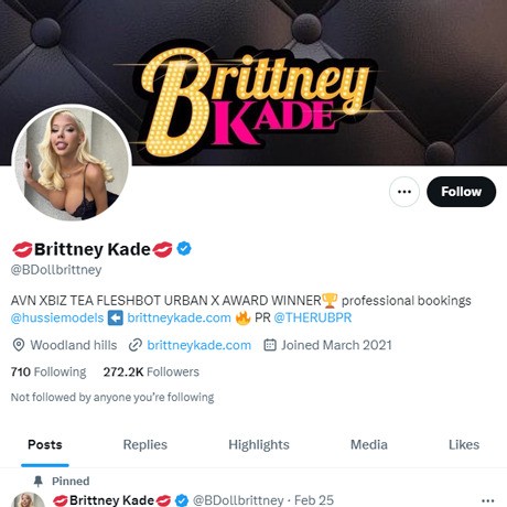 Brittney Kade Twitter (TS)