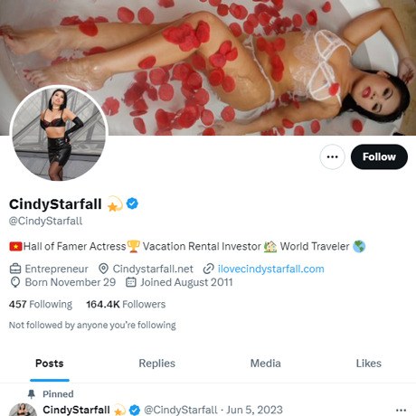 Cindy Starfall Twitter