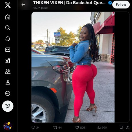 Thixen Vixen