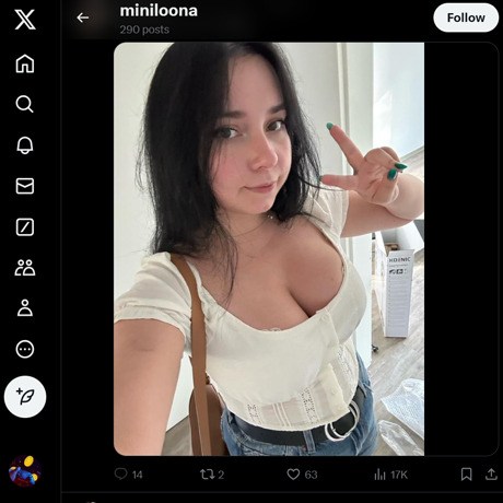 MiniLoona