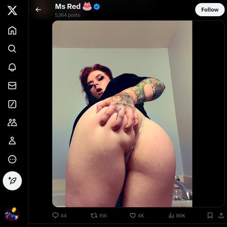 VermilionVixen