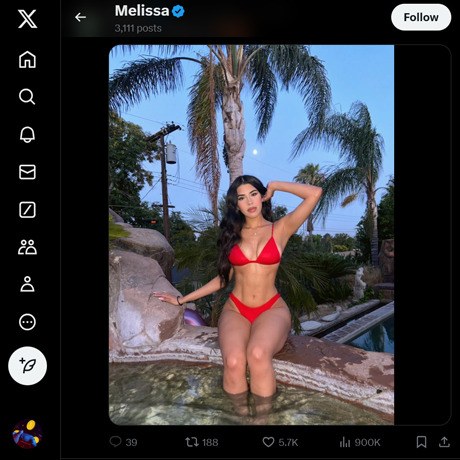MelissagsTM