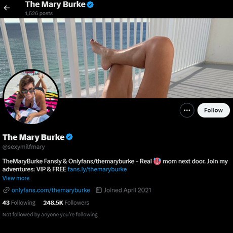 The Mary Burke