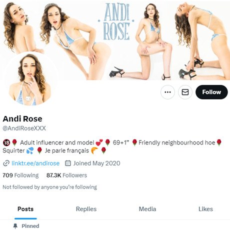 Andi Rose Twitter