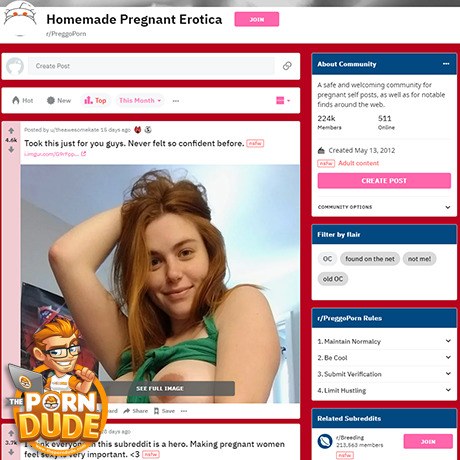 PreggoPorn