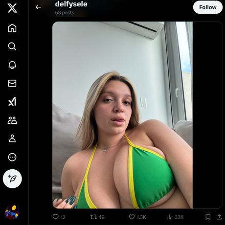Delfysele