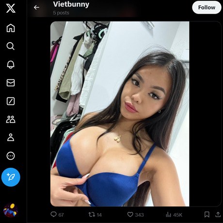 VietBunny