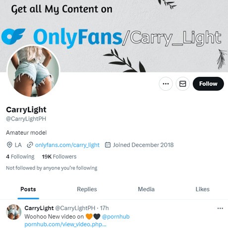 CarryLight Twitter