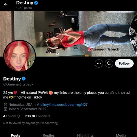 Queen Egirl