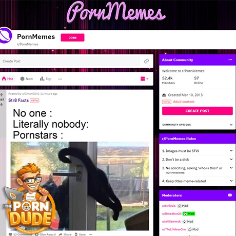 Reddit Porn Memes