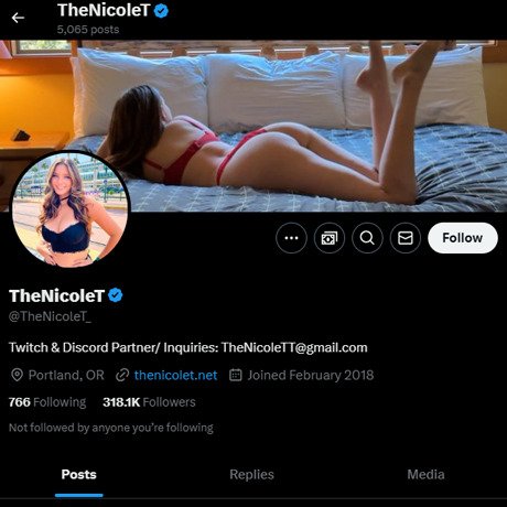 TheNicoleT