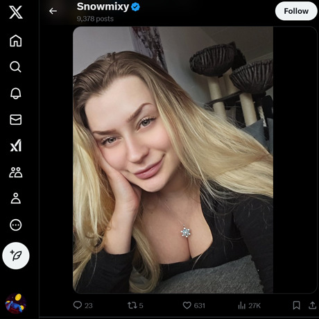 SnowMixy