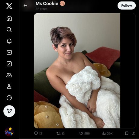 MsCookieJar